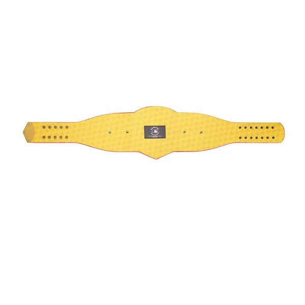 St. Louis Cardinals WWE Legacy Title Belt